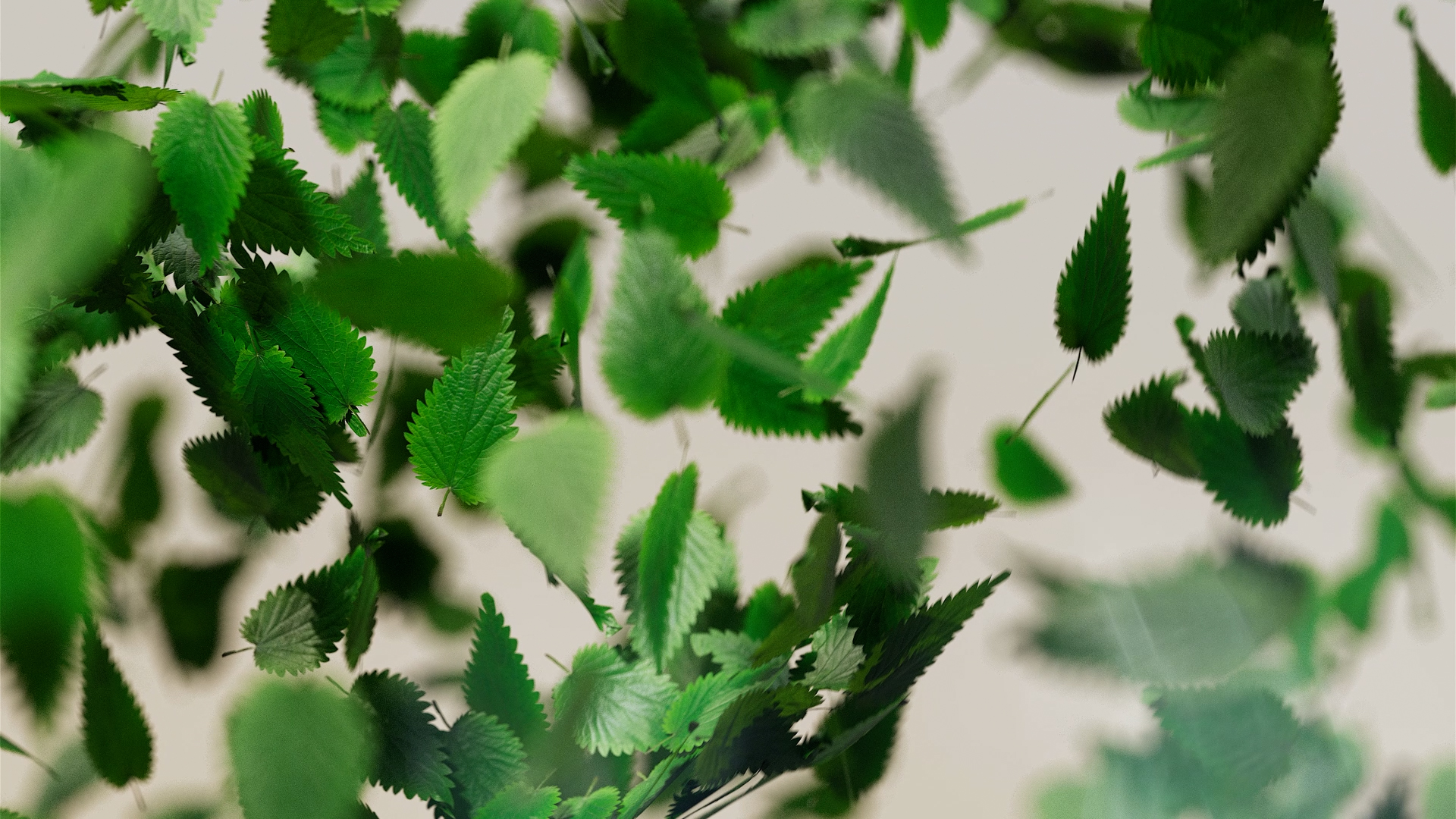 Flow_full_QF (90216) Flow_full_QF (90216)