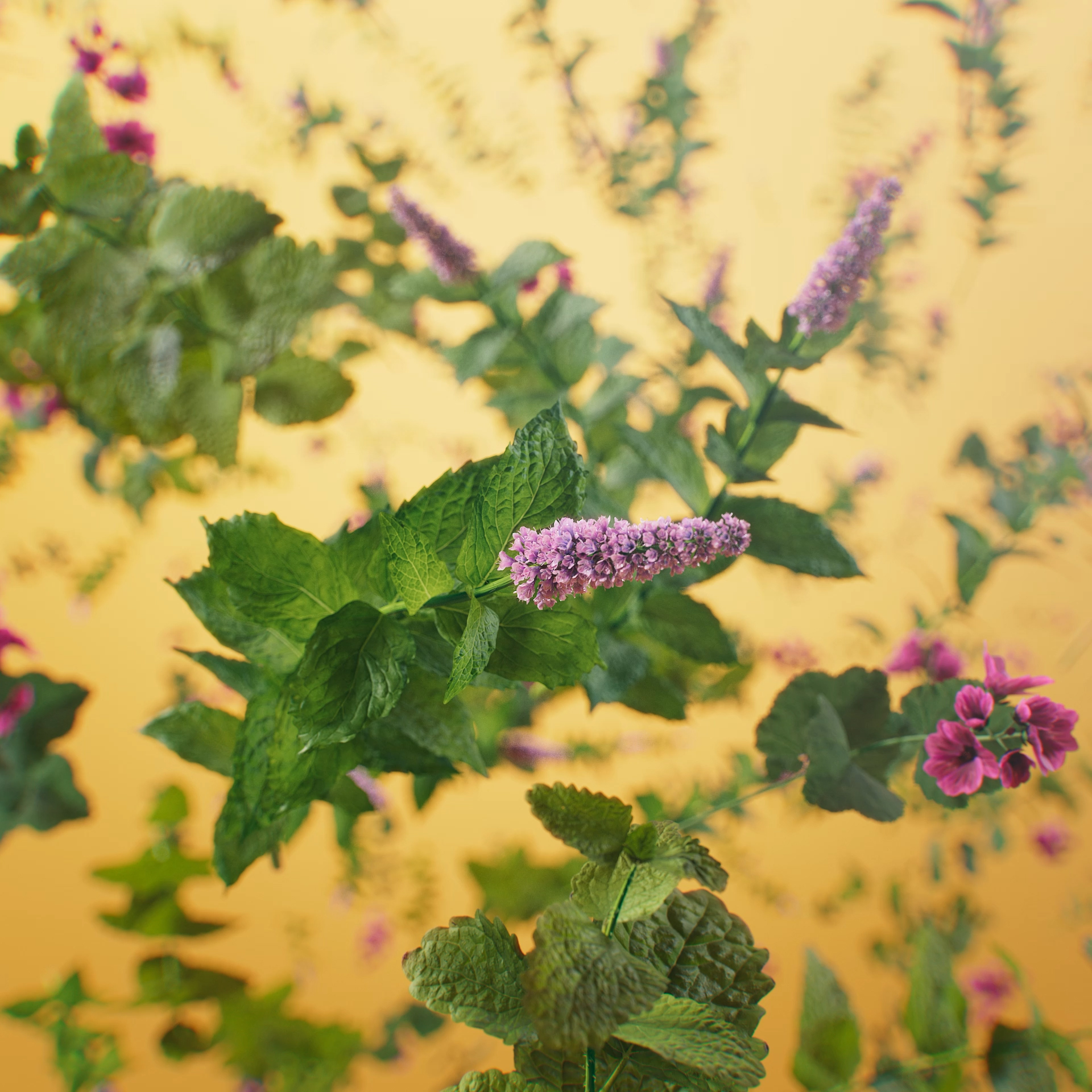 Ricola_Lemon_Mint_v005 (1-00-01-23) Ricola_Lemon_Mint_v005 (1-00-01-23)