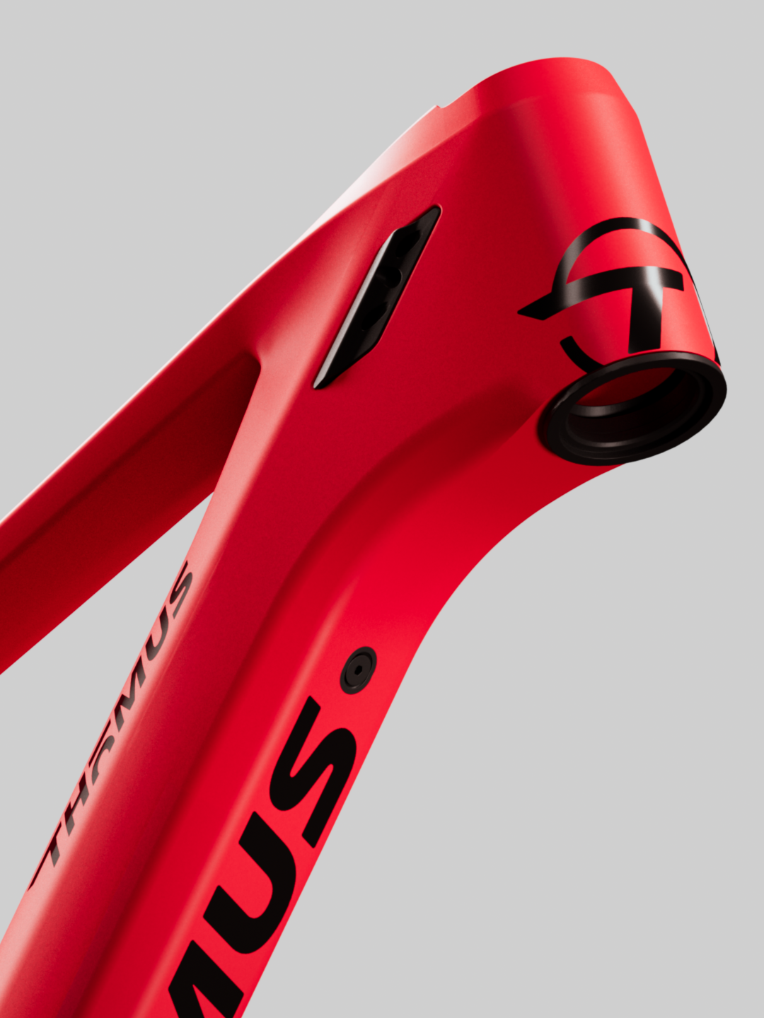 Thoemus_frame_04 Thoemus_frame_04